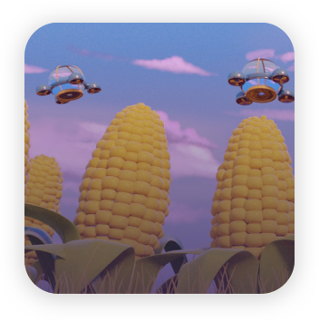 cornfield-28_1